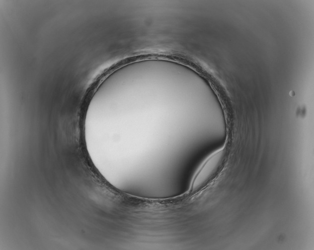 X0000091301214200709071046