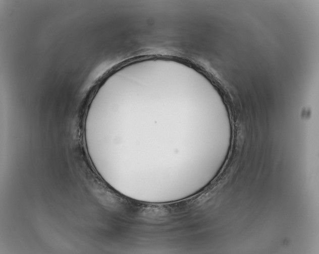 X0000091301215200709071046