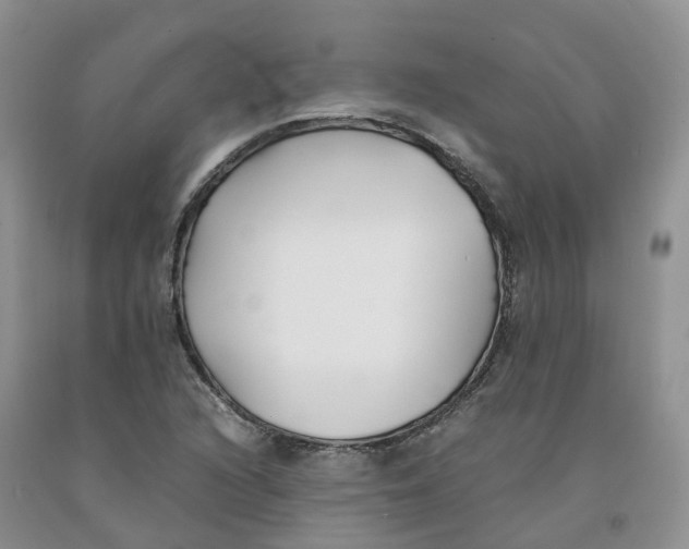 X0000091301216200709071046