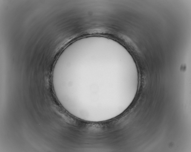 X0000091301217200709071046