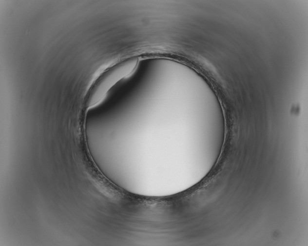 X0000091301218200709071046