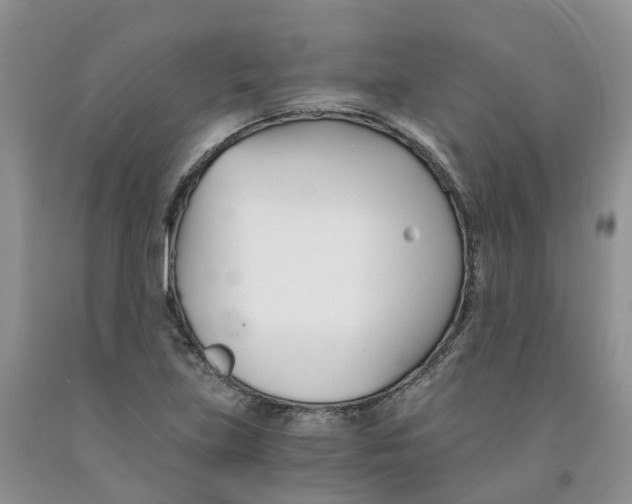 X0000091301219200709071046