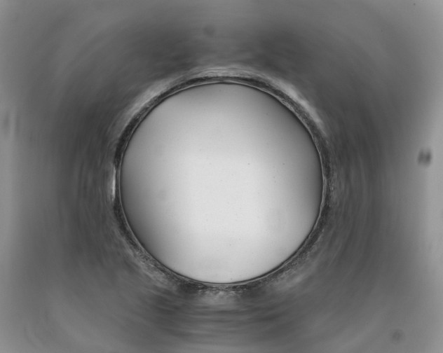 X0000091301221200709071046