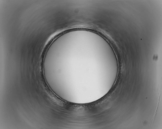 X0000091301222200709071046