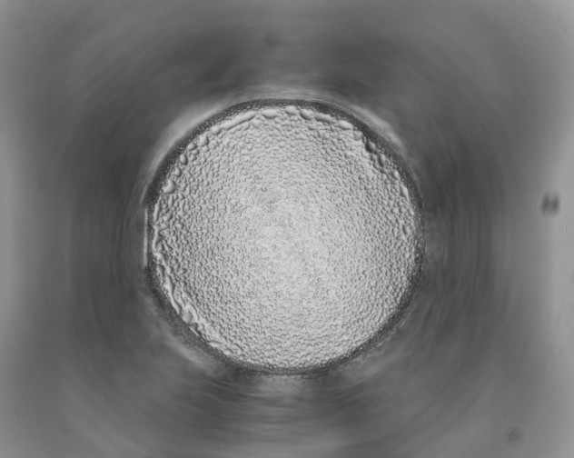 X0000091301223200709071046