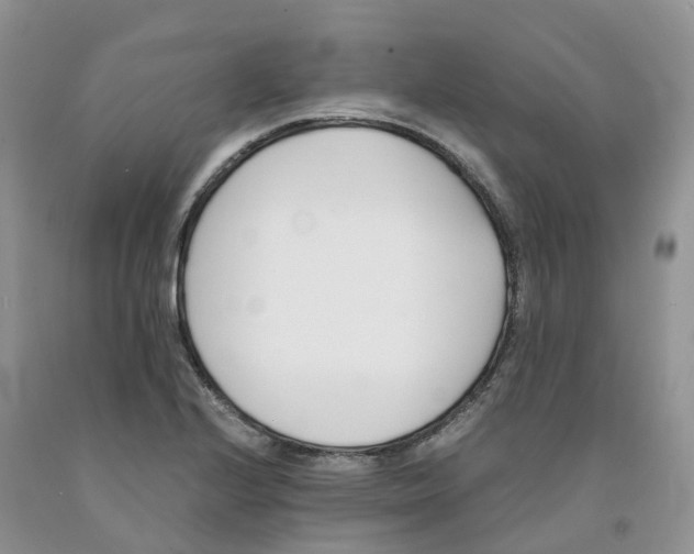 X0000091301224200709071046