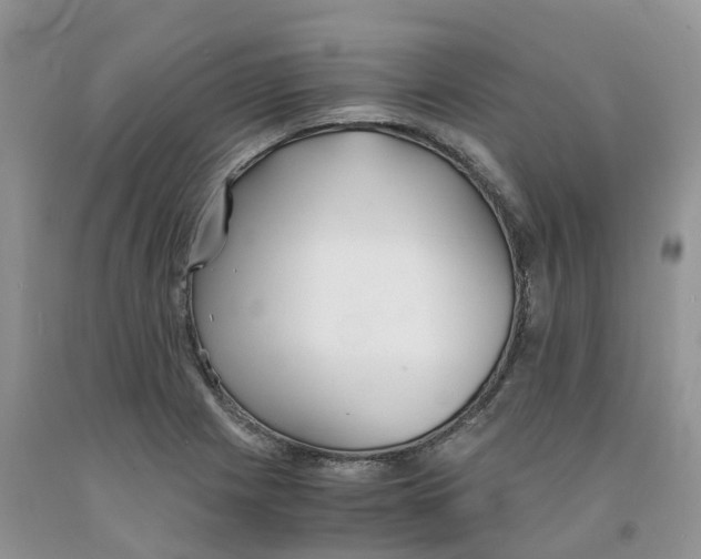 X0000091301225200709071046