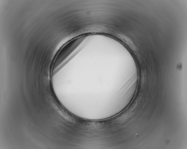 X0000091301226200709071046