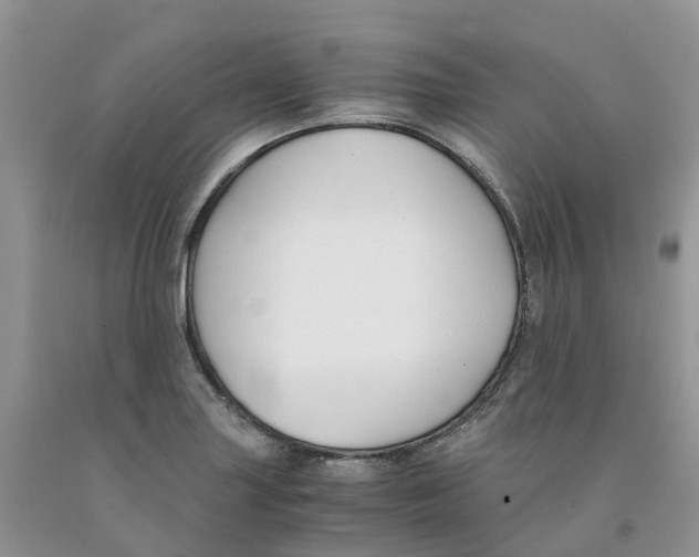 X0000091301227200709071046