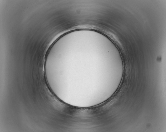 X0000091301228200709071046