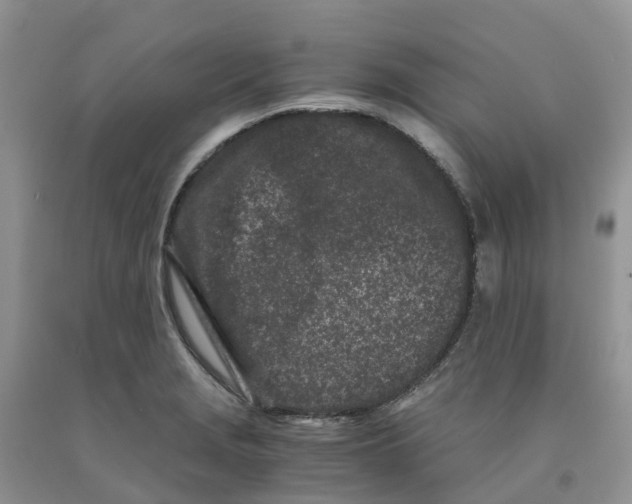 X0000091301229200709071046