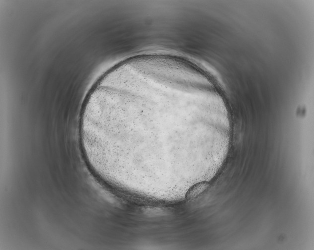 X0000091301231200709071046