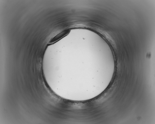 X0000091301233200709071046