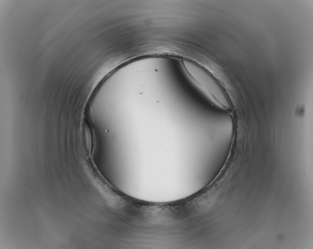 X0000091301234200709071046