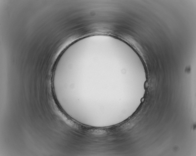 X0000091301235200709071046