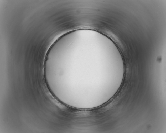 X0000091301236200709071046