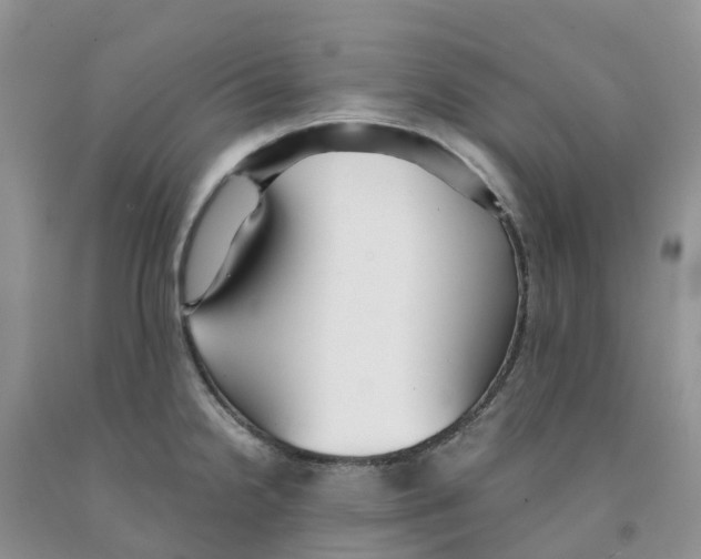 X0000091301238200709071046