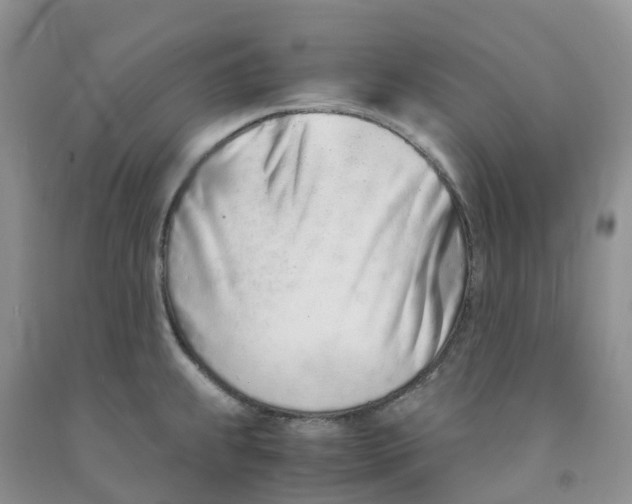 X0000091301239200709071046