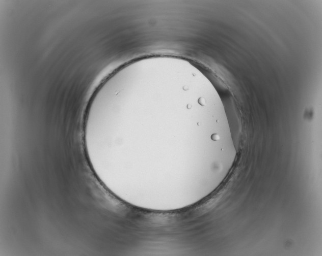 X0000091301240200709071046