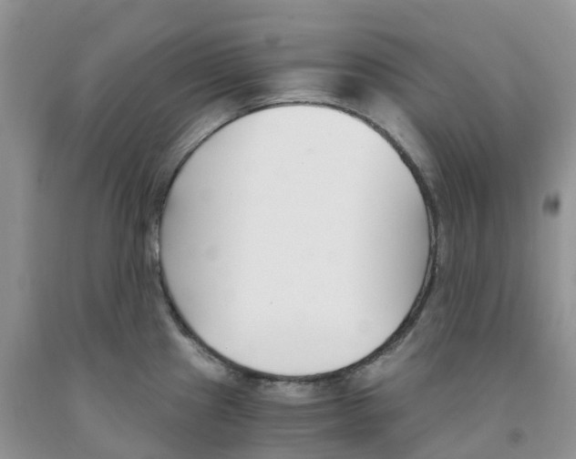 X0000091301241200709071046