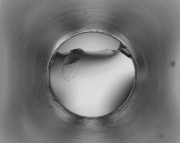 X0000091301242200709071046