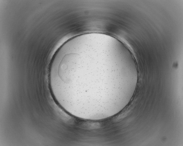 X0000091301243200709071046