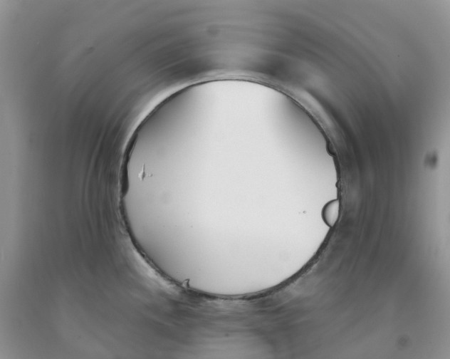 X0000091301244200709071046