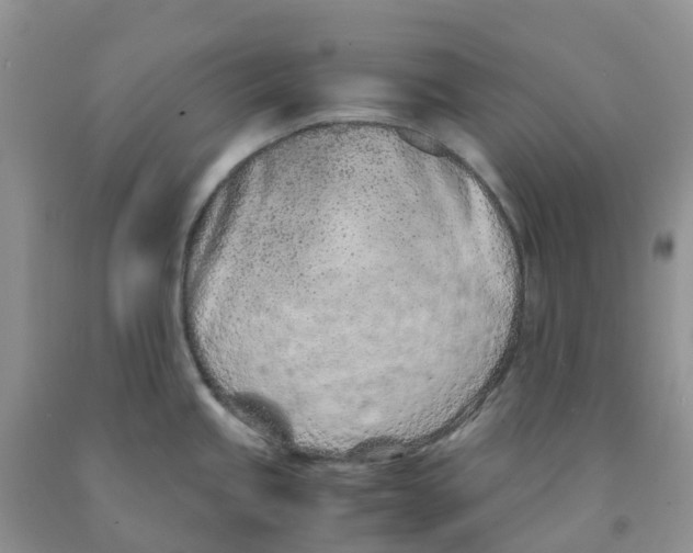 X0000091301245200709071046