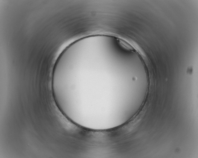 X0000091301246200709071046