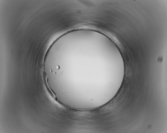 X0000091301247200709071046