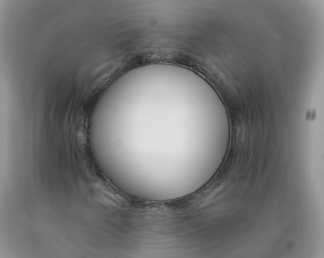 X0000091301250200709071045