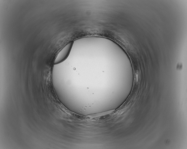 X0000091301251200709071045