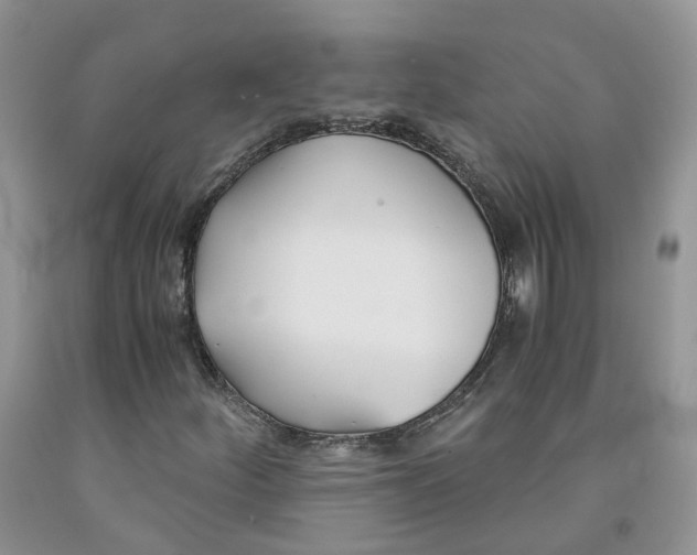 X0000091301252200709071045