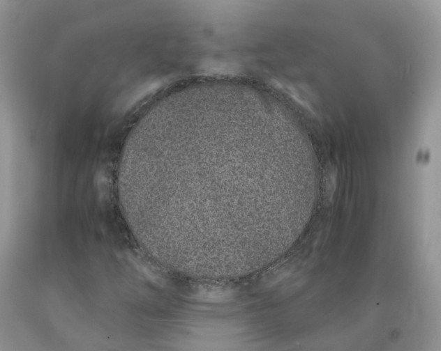 X0000091301254200709071045