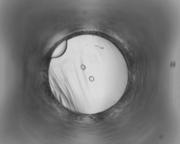 X0000091301255200709071045