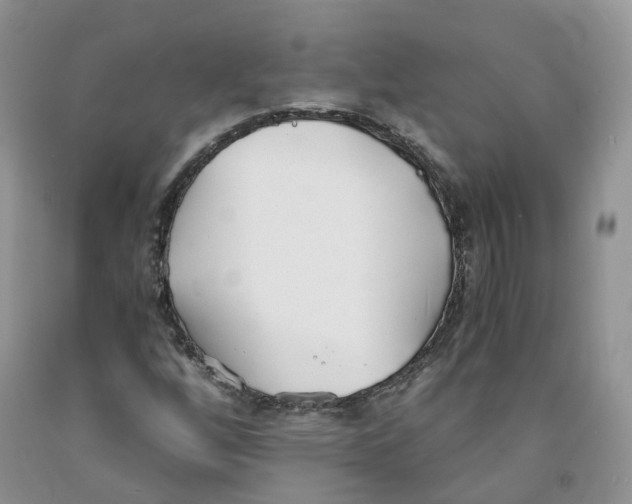 X0000091301256200709071045