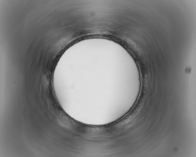 X0000091301257200709071045