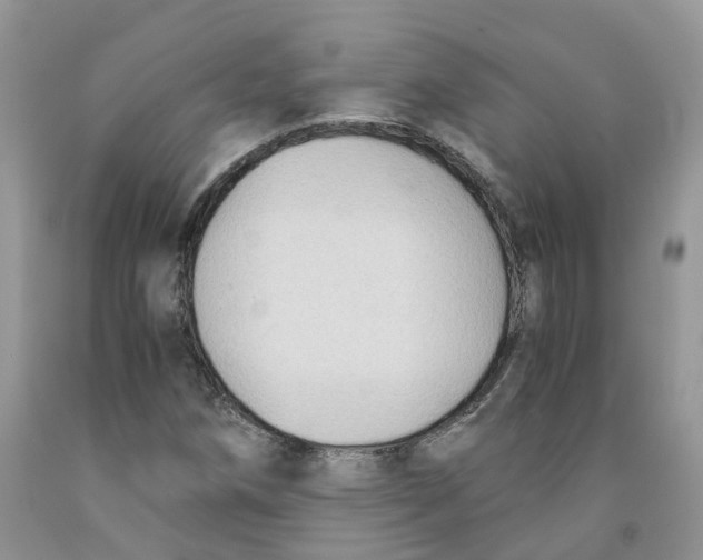 X0000091301258200709071045