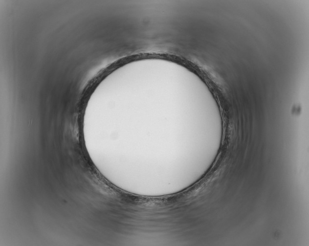 X0000091301262200709071045