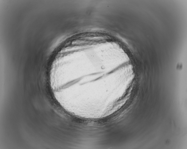 X0000091301263200709071045