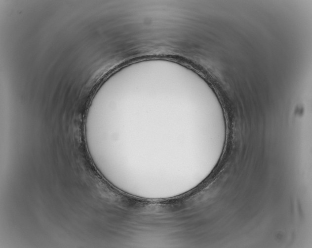 X0000091301265200709071045