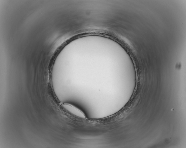 X0000091301267200709071045