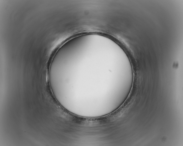 X0000091301269200709071045