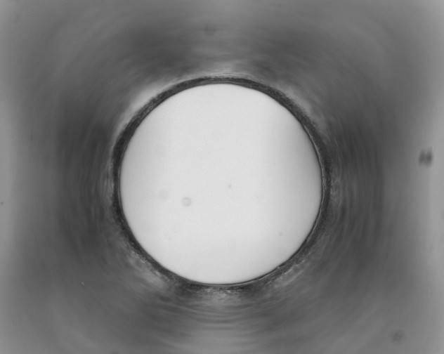 X0000091301270200709071045