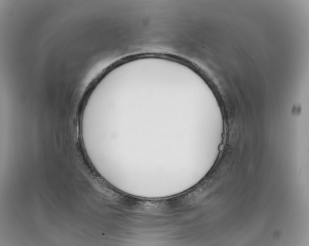 X0000091301271200709071045