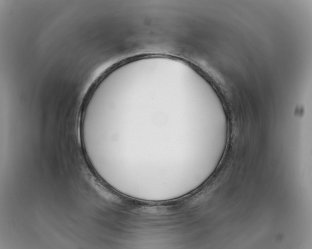 X0000091301272200709071045