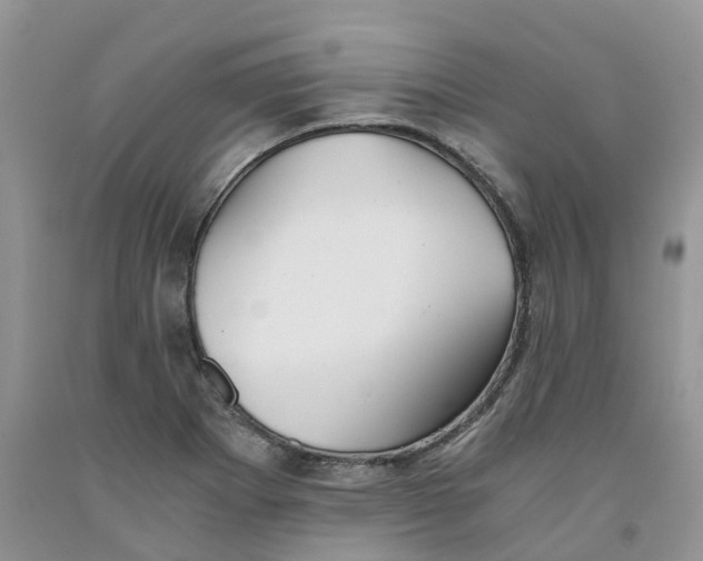 X0000091301273200709071045