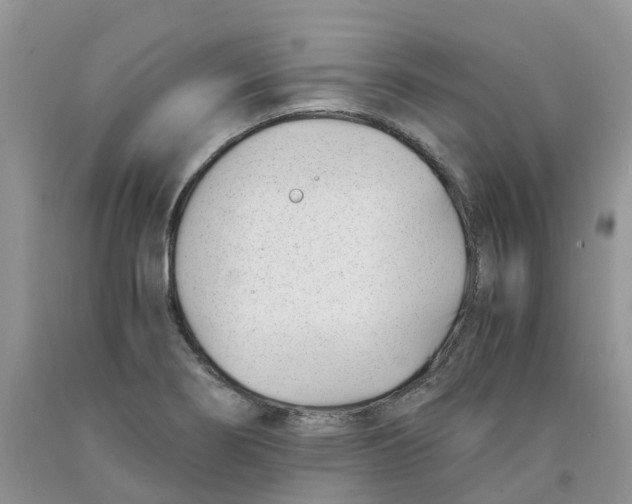 X0000091301274200709071045