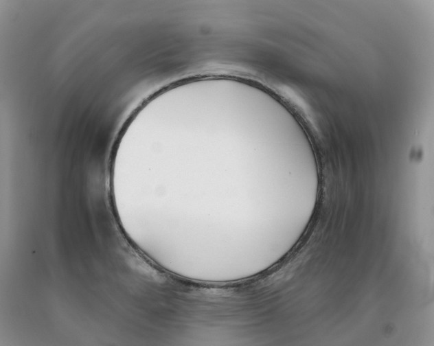 X0000091301280200709071045