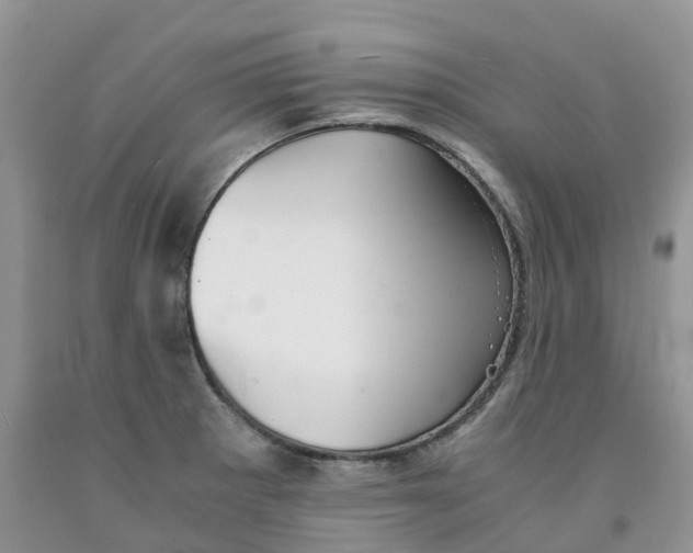 X0000091301281200709071045